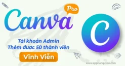 Nâng Cấp AutoCAD 1 Năm