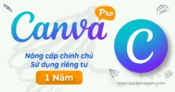 Nâng Cấp Figma 1 Năm