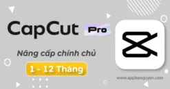 Tài Khoản CapCut Pro Mobile