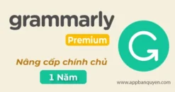 Nâng Cấp Datacamp Premium 6 Tháng
