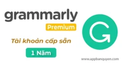 Nâng Cấp Duolingo Super 1 Năm