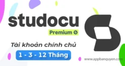 Tài Khoản Quizlet Plus 1 Năm