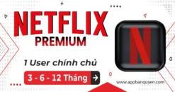 Netflix Premium