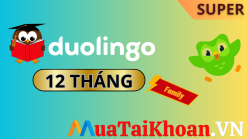 Duolingo Super chính chủ 12 tháng (Cá nhân)