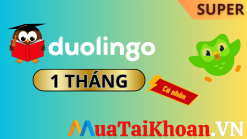 Tài khoản Duolingo Super chính chủ (Add Family)